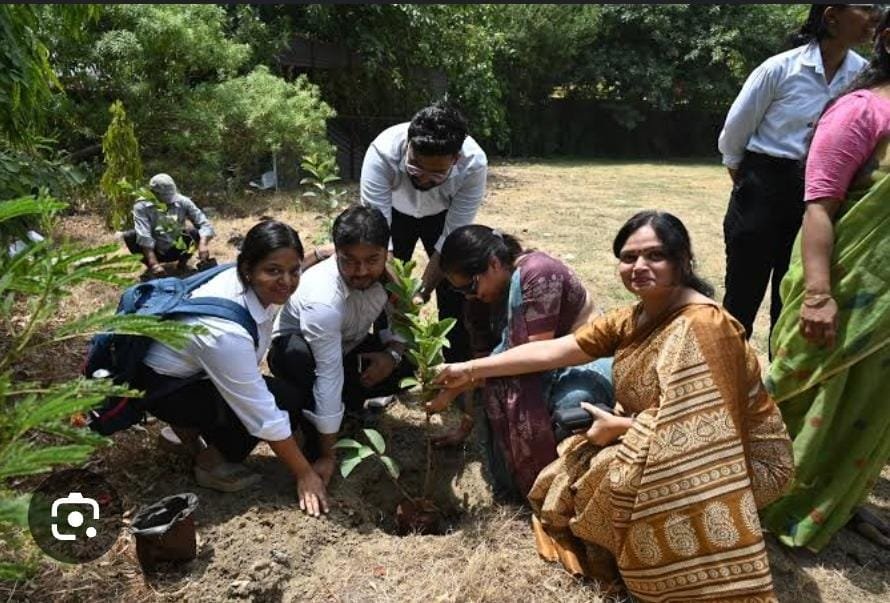 Tree Planting